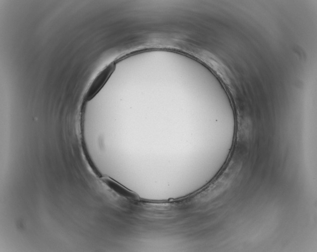 X0000110671342200907241014