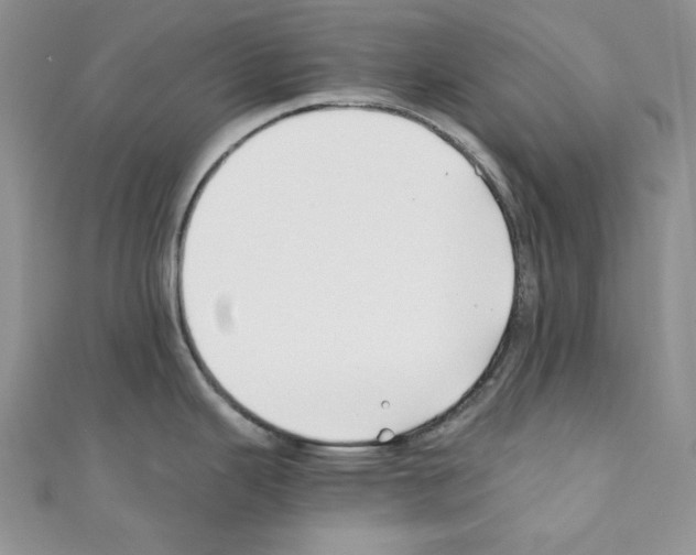 X0000110671343200907241014