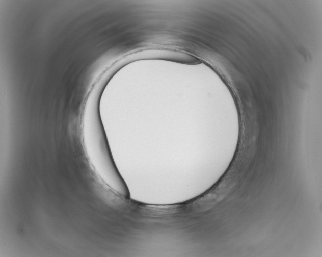 X0000110671344200907241014