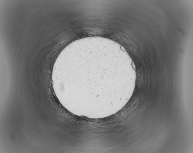 X0000110671345200907241014