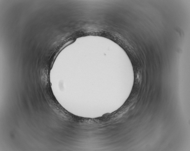 X0000110671348200907241014