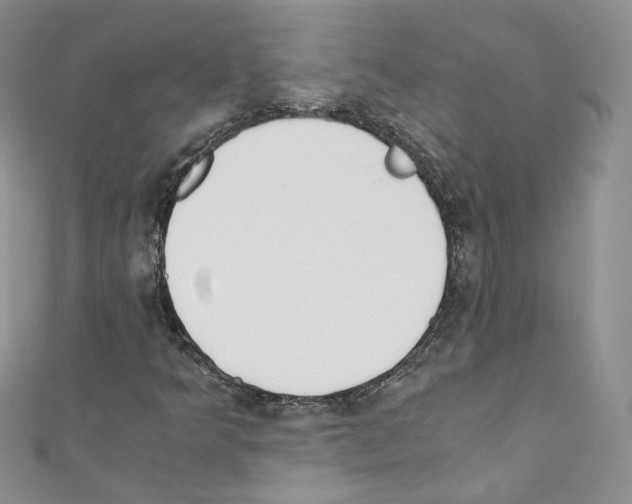 X0000110671349200907241013