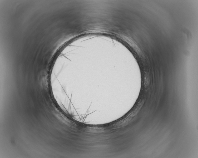 X0000110671356200907241013