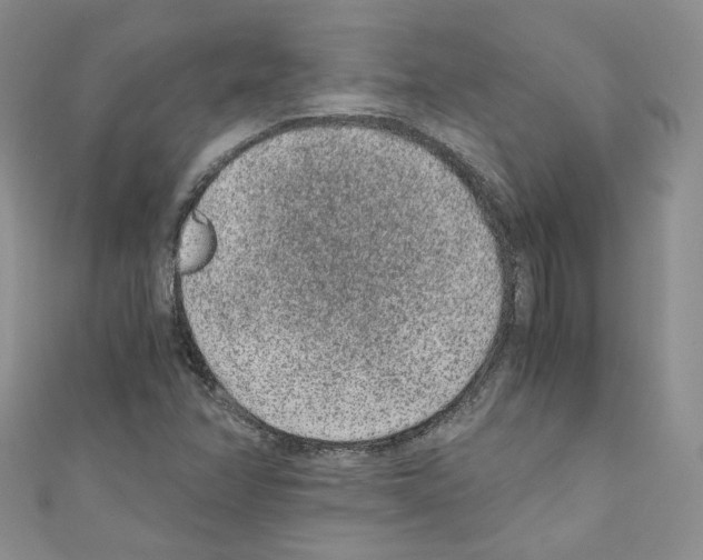X0000110671358200907241013