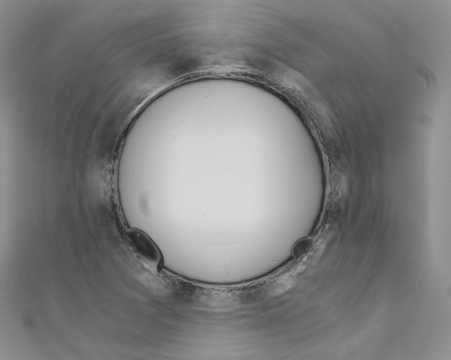 X0000110671361200907241013