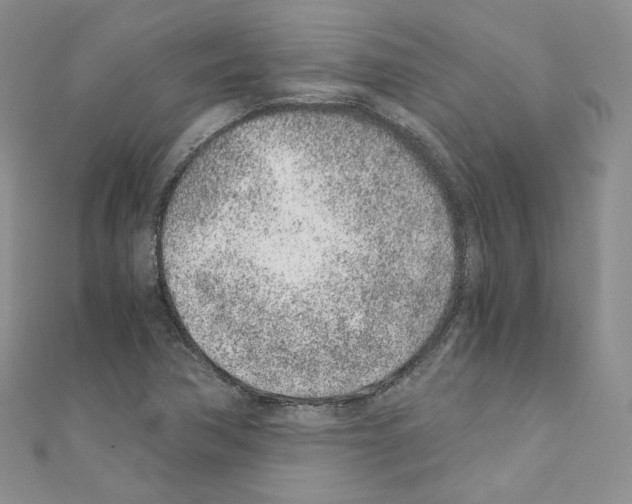 X0000110671362200907241013