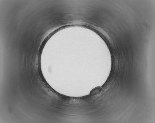 X0000110671364200907241013