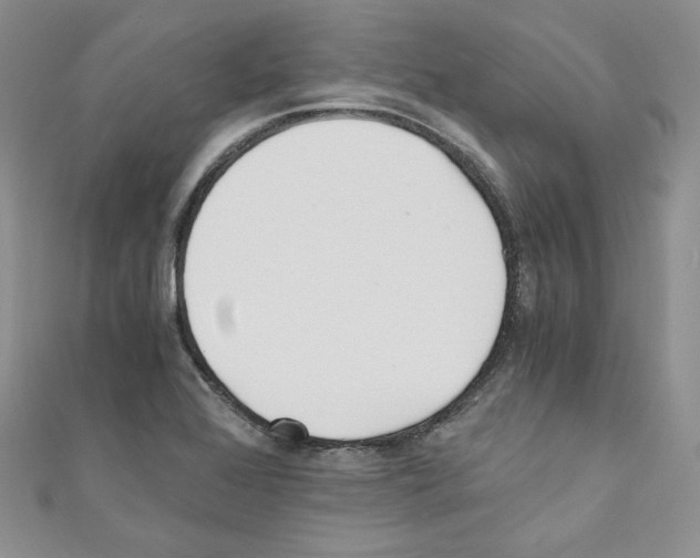 X0000110671368200907241013