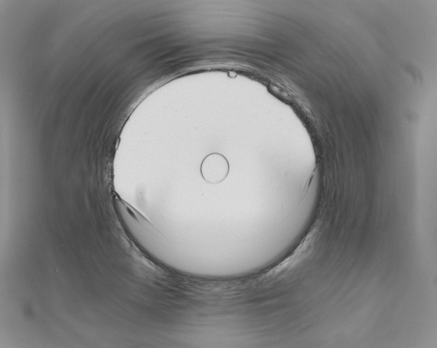X0000110671369200907241013