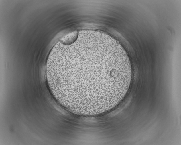 X0000110671370200907241013