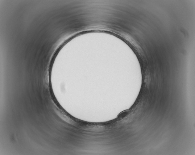 X0000110671372200907241013