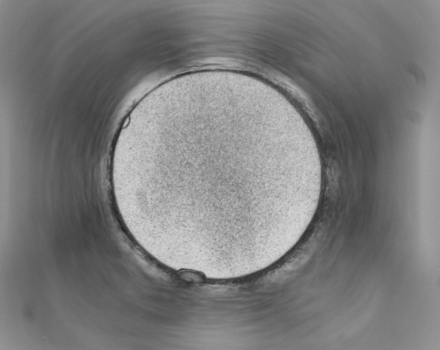 X0000110671373200907241013