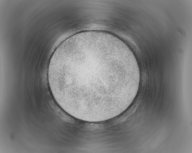 X0000110671374200907241013