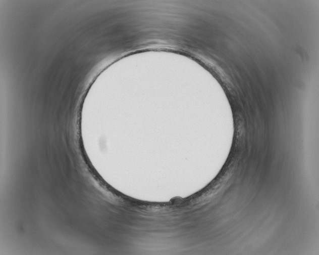 X0000110671375200907241013