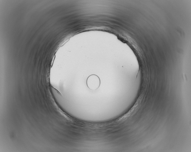 X0000110671377200907241013