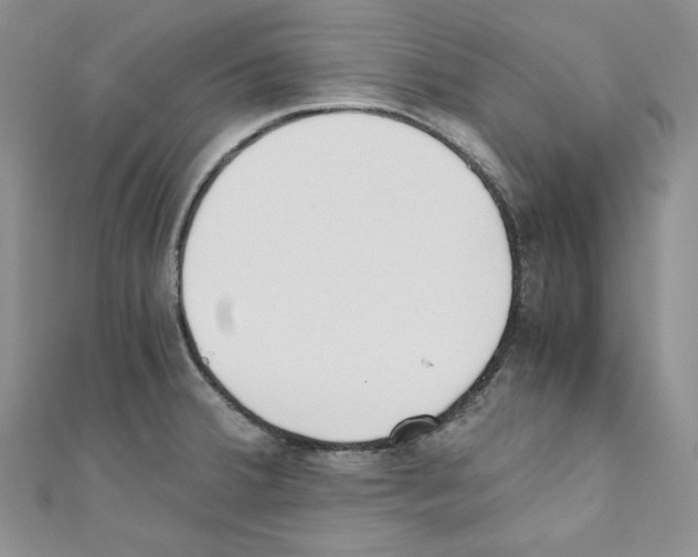 X0000110671380200907241013