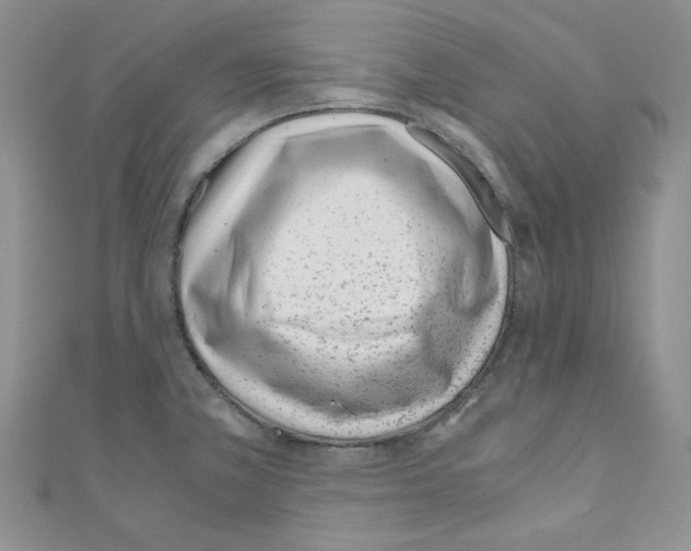 X0000110671381200907241013