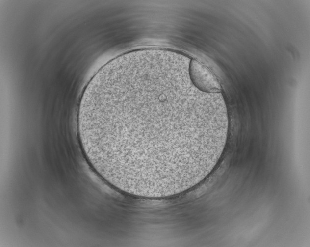X0000110671382200907241013