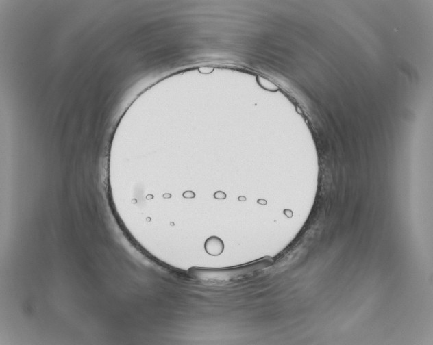 X0000110671383200907241013