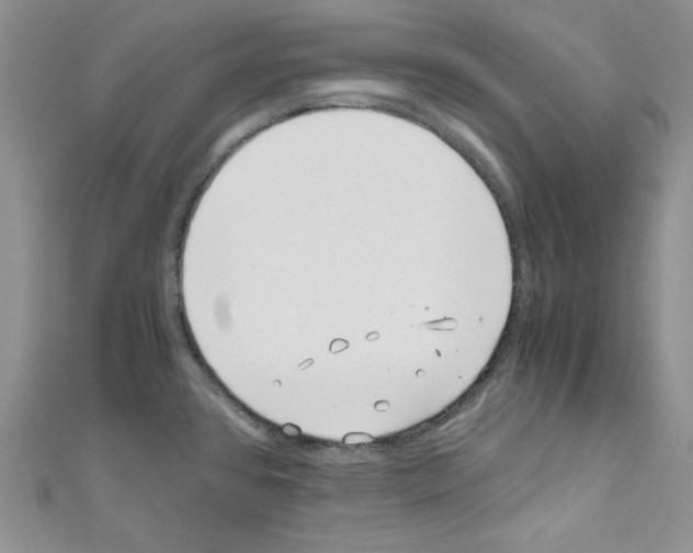 X0000110671384200907241013