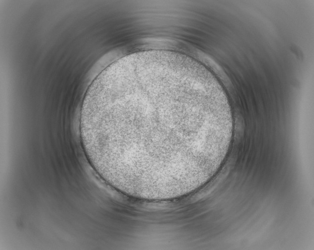 X0000110671386200907241013