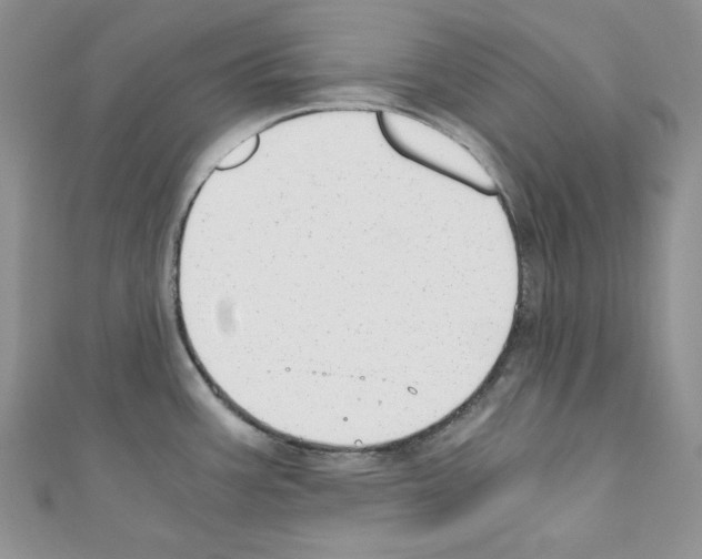 X0000110671387200907241013