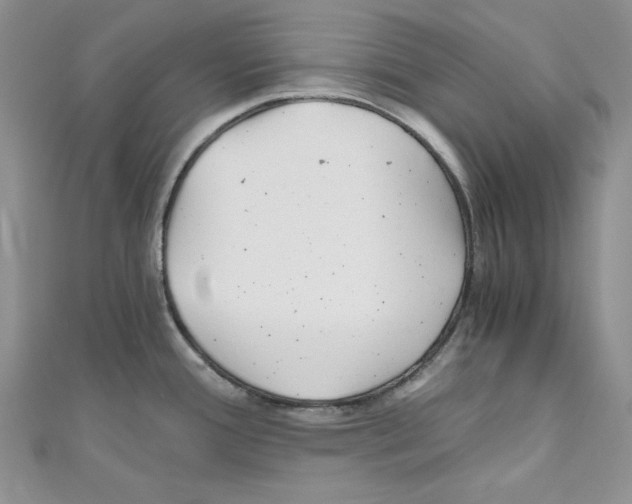 X0000110671388200907241013