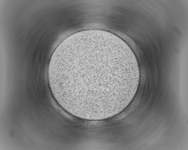 X0000110671390200907241013
