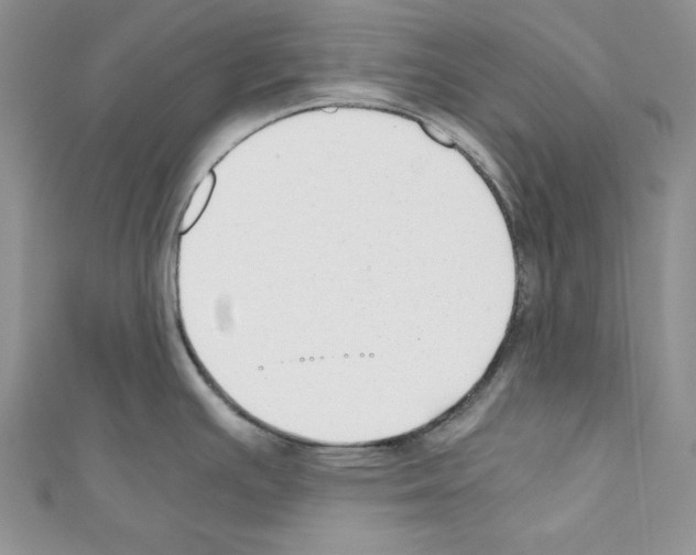X0000110671391200907241013