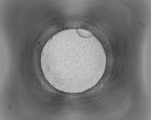 X0000110671393200907241012
