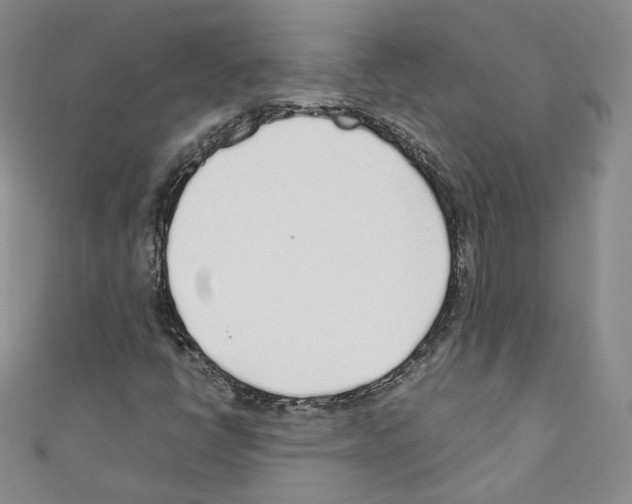 X0000110671398200907241012