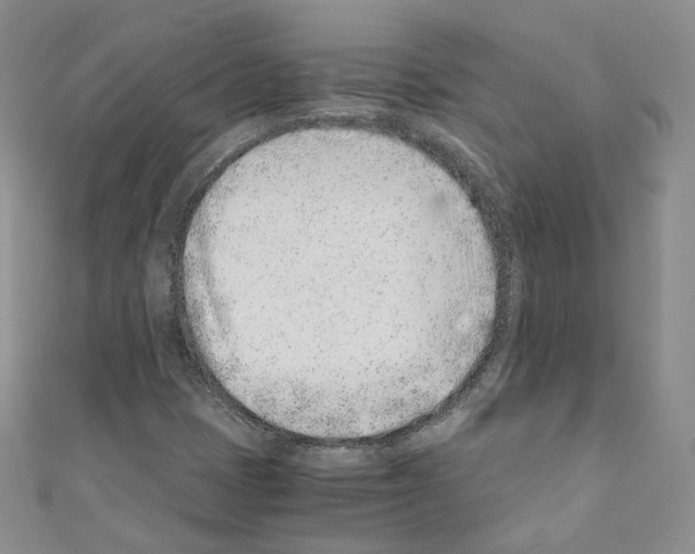 X0000110671401200907241012