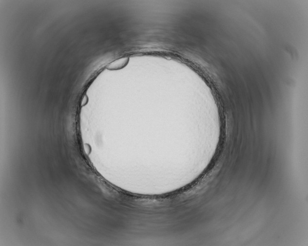 X0000110671405200907241012