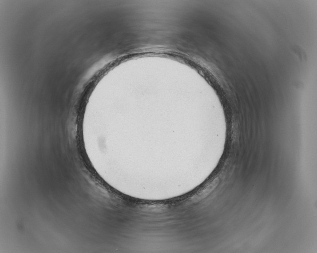 X0000110671406200907241013