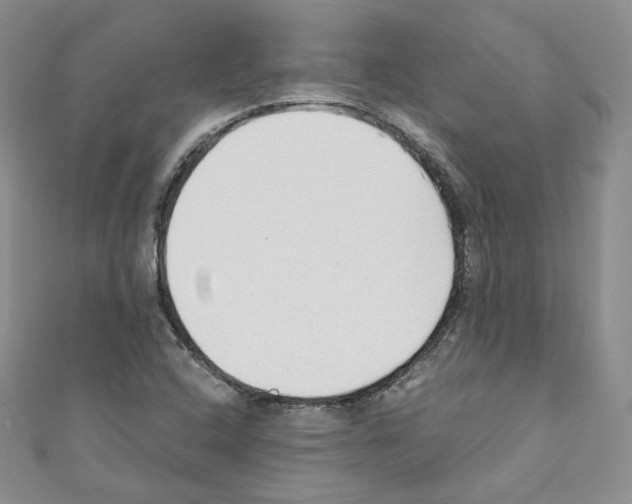 X0000110671408200907241013