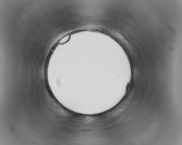 X0000110671412200907241013
