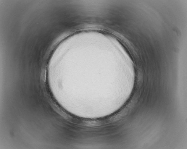 X0000110671413200907241013
