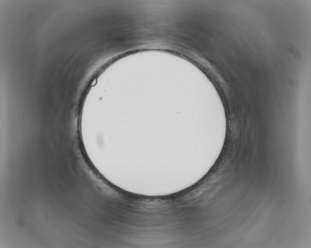 X0000110671416200907241013