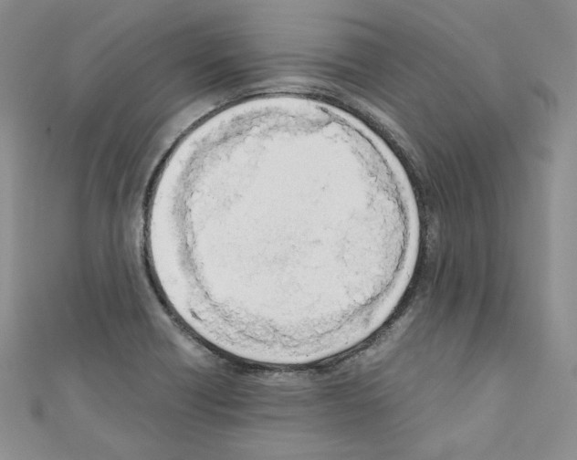 X0000110671418200907241013
