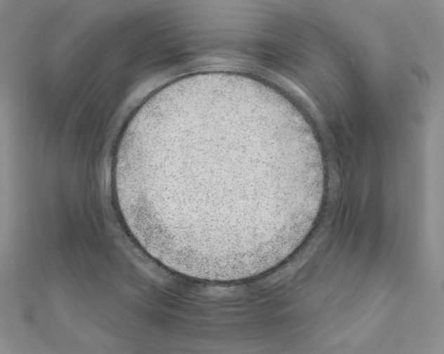 X0000110671419200907241013