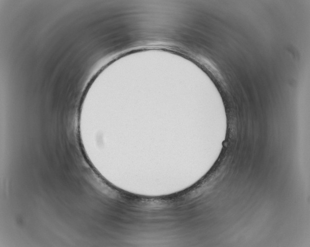 X0000110671420200907241013