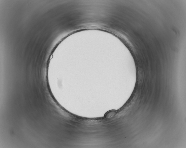 X0000110671424200907241013