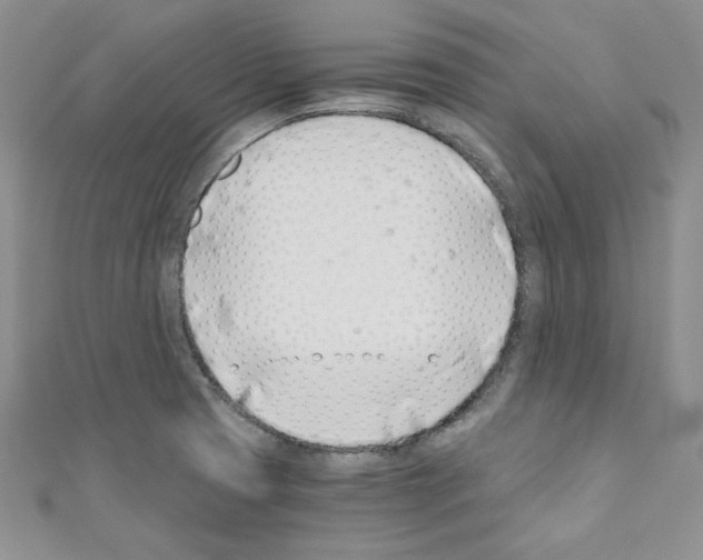X0000110671425200907241013