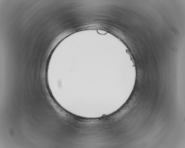 X0000110671426200907241013