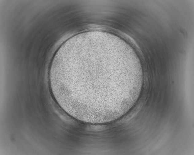 X0000110671427200907241013