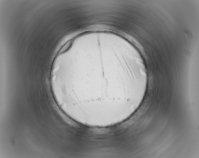 X0000110671429200907241013