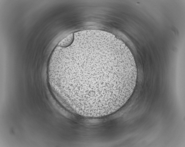 X0000110671431200907241013