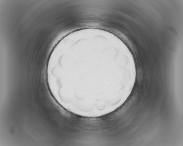 X0000110671432200907241013