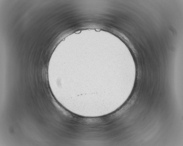 X0000110671433200907241013