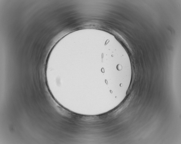 X0000110671434200907241013